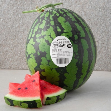 곰곰 당도선별 단양 어상천수박 5kg미만