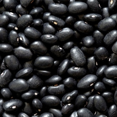 건강한밥상 2020년 햇곡 국산 서리태