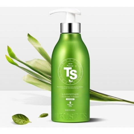 TS 뉴프리미엄 TS 샴푸 500g x 2p + 100g x 2p + 6g x 5p