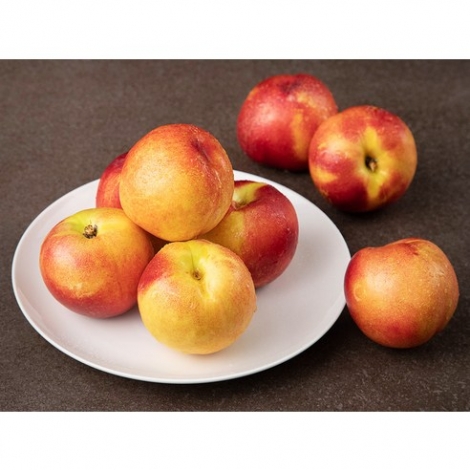 하이푸르츠 왕 천도복숭아 14~17입