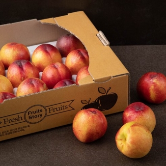 하이푸르츠 왕 천도복숭아 14~17입