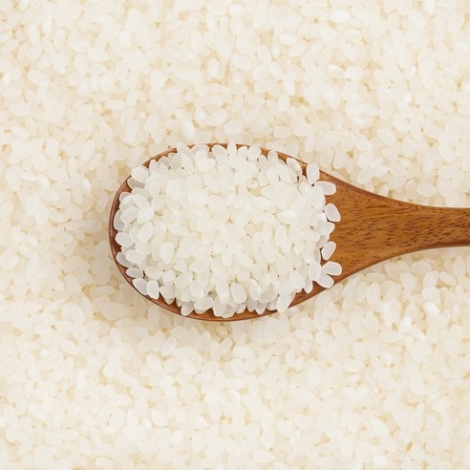 곰곰 2020년 소중한 우리 쌀