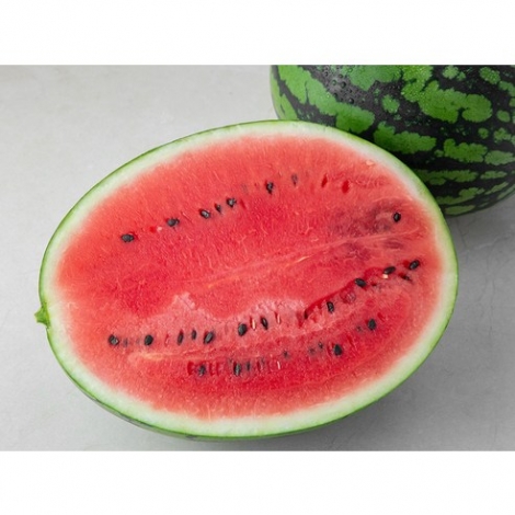 곰곰 당도선별 단양 어상천수박 5kg미만