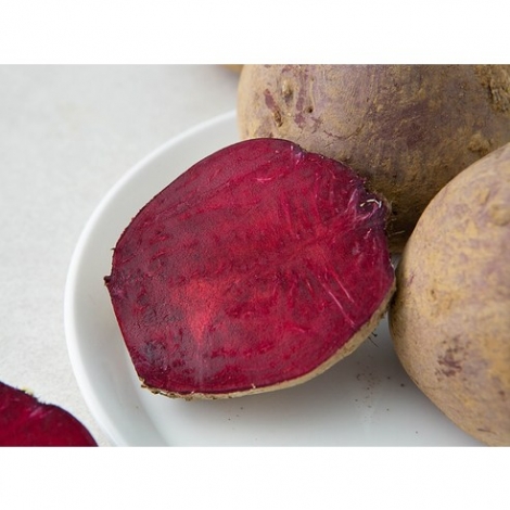 유기농 인증 국내산 비트