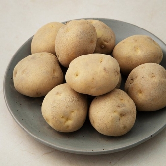 유기농 햇감자