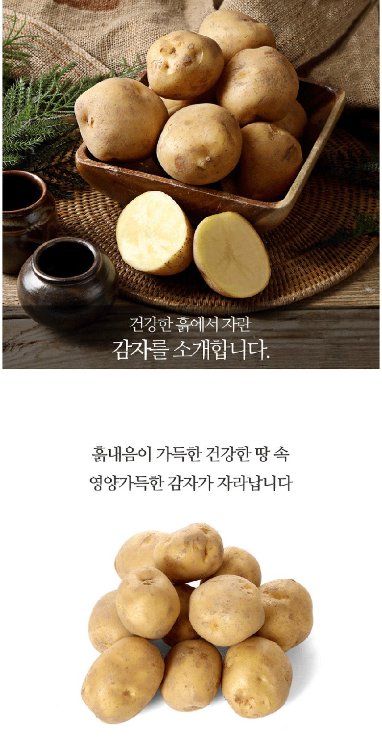 [검색 1] 알이 크고 맛있는 하지감자