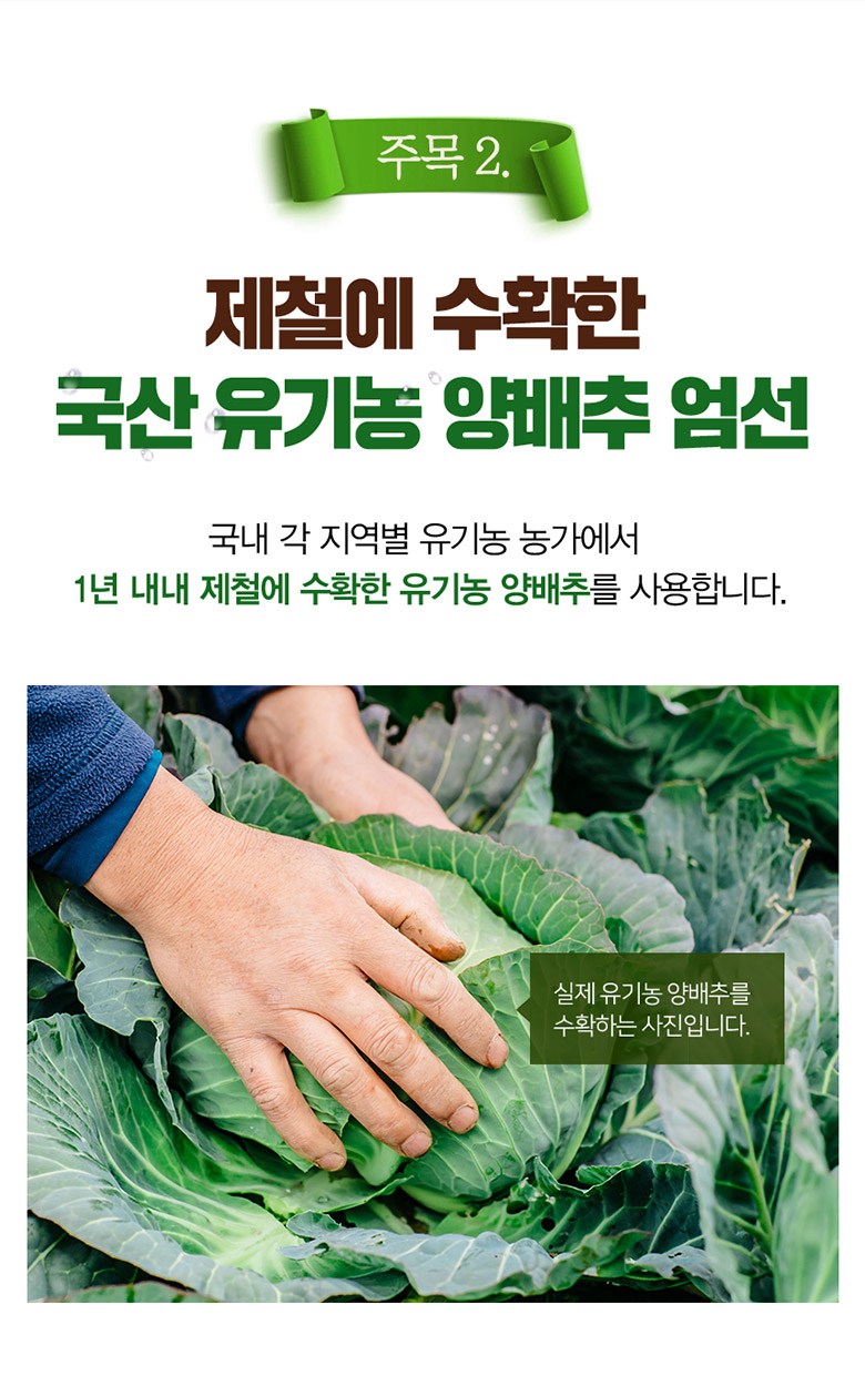 GNM자연의품격 유기농 양배추 브로콜리 진액