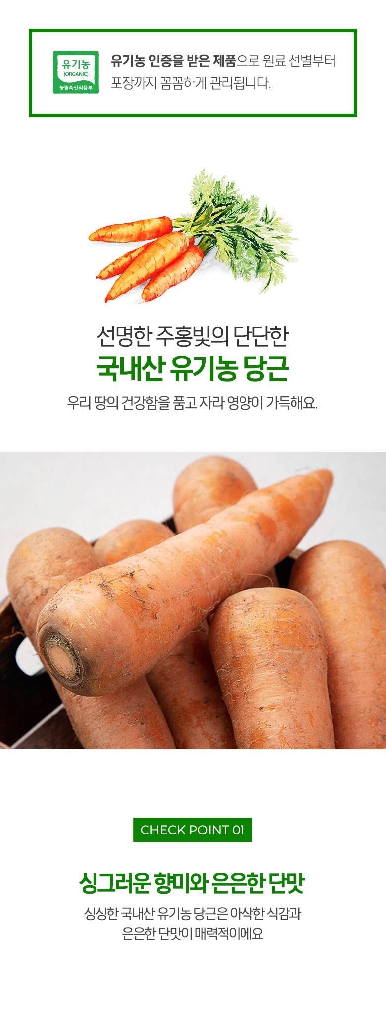 유기농 당근