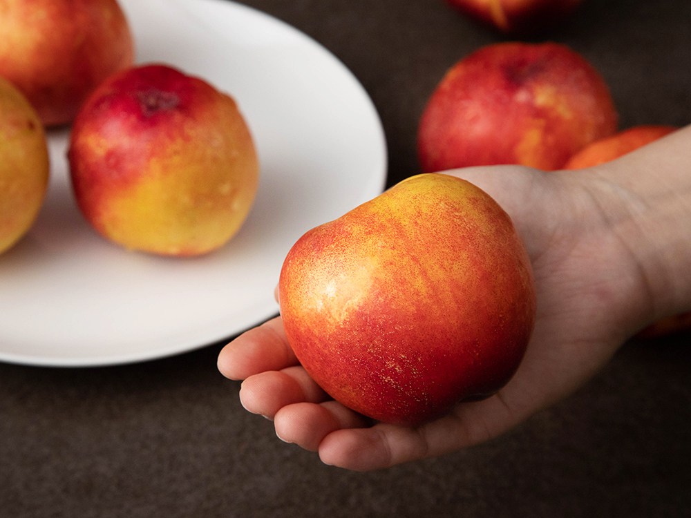 하이푸르츠 왕 천도복숭아 14~17입