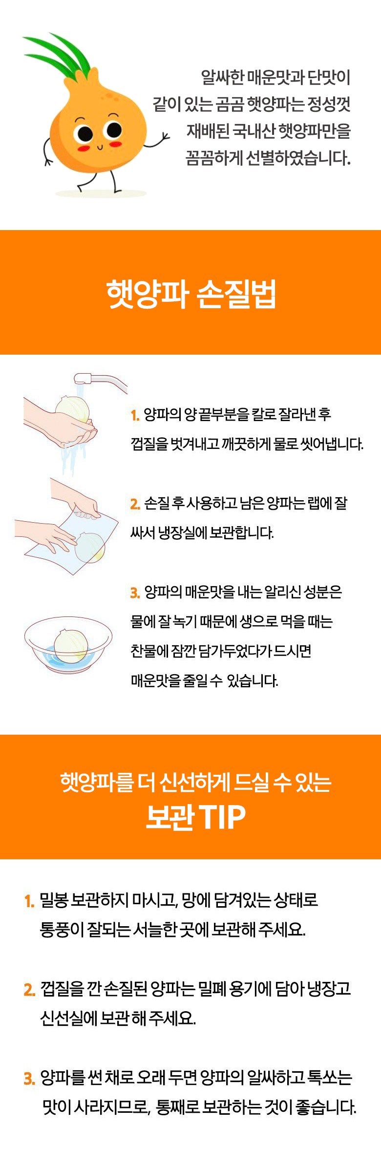 국내산 햇양파