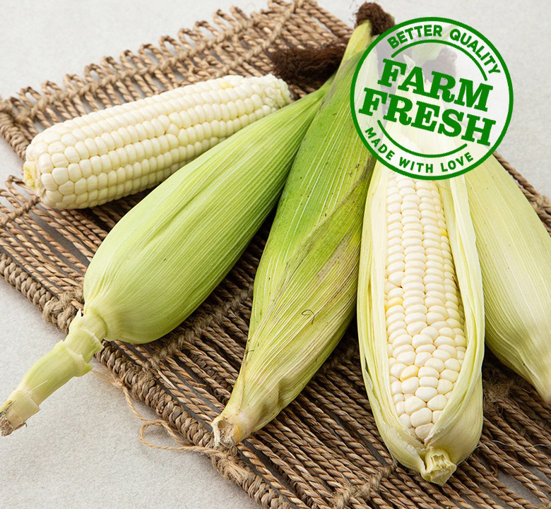 햇 미백찰옥수수