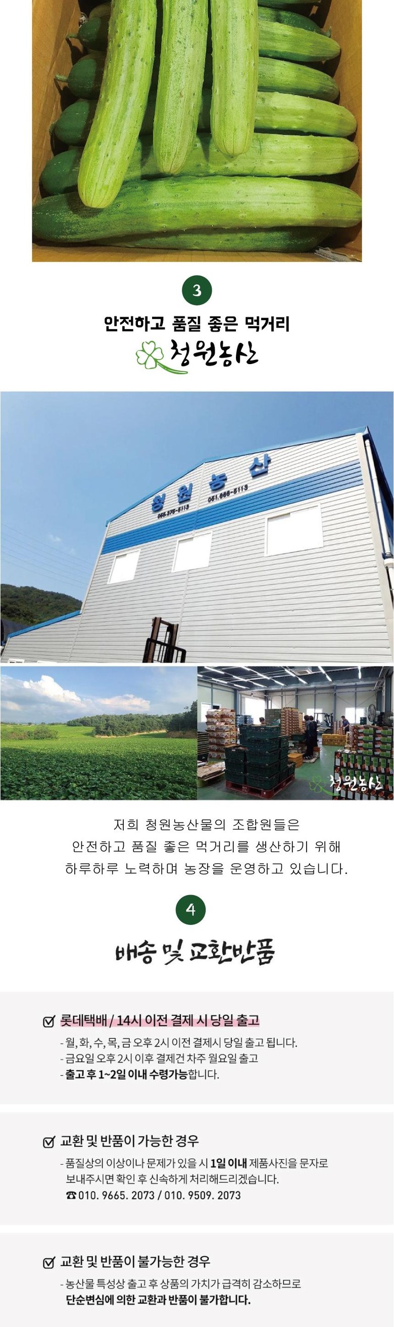 2021년 청원농산 국내산 백오이 15개 30개 50개