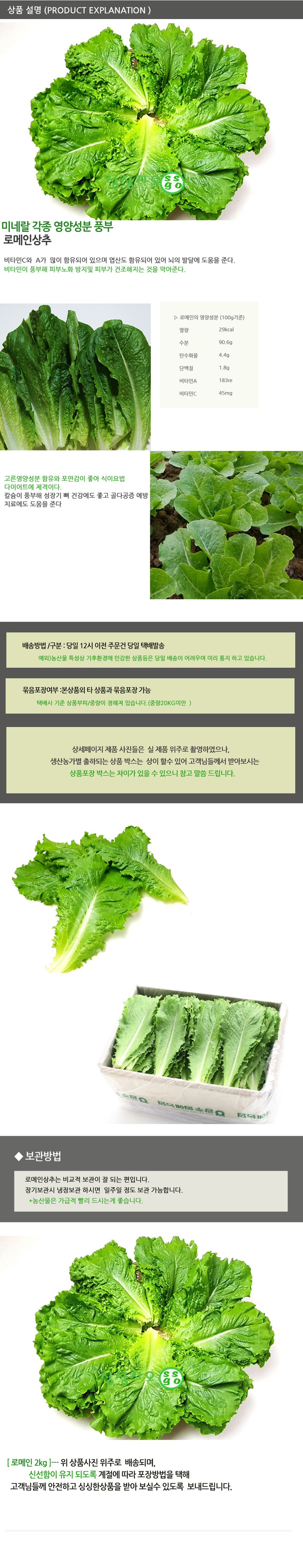 로메인2kg 로메인상추 웰빙 쌈채소 싱싱지오