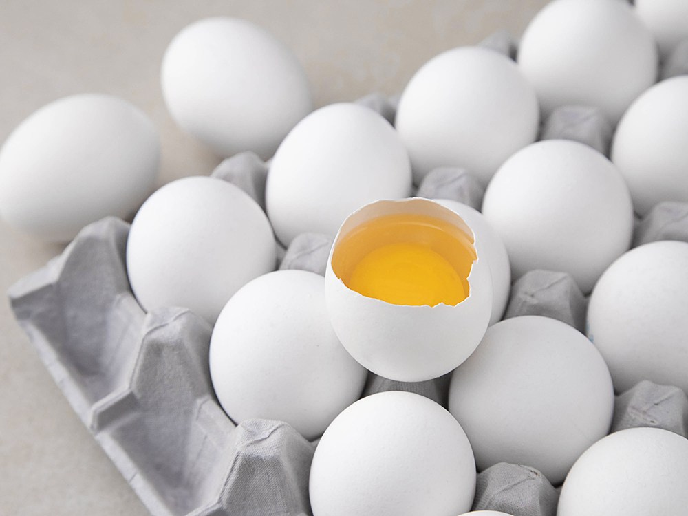 신선란 미국산 30구