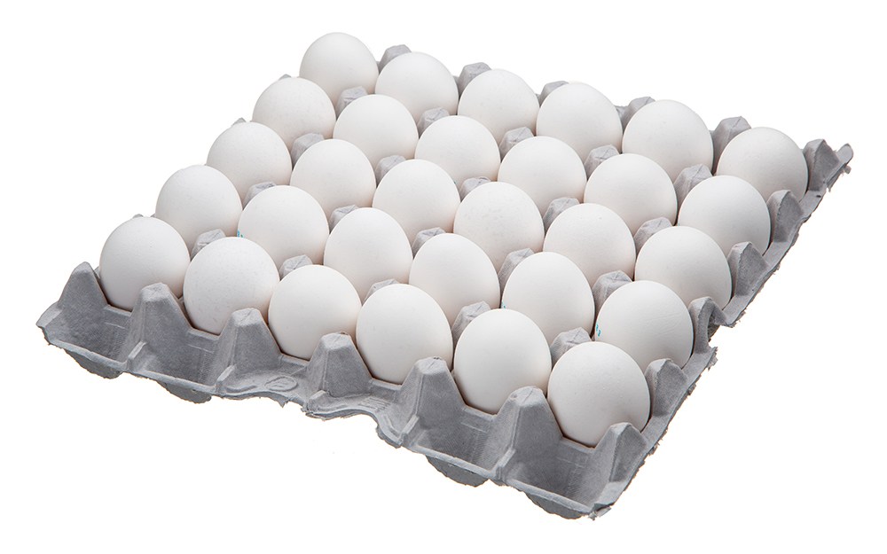 신선란 미국산 30구