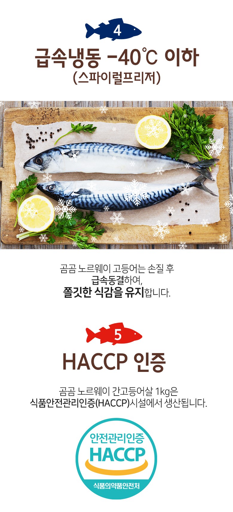 곰곰 노르웨이 간고등어살 1kg