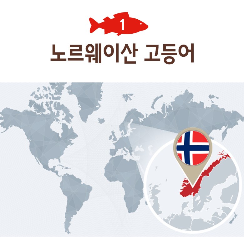 곰곰 노르웨이 간고등어살 1kg