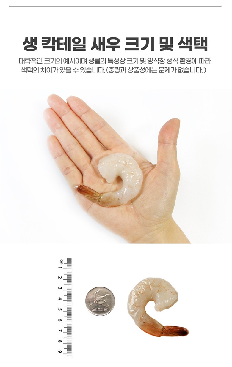 비비수산 생칵테일새우 중 대용량 (60~70마리)