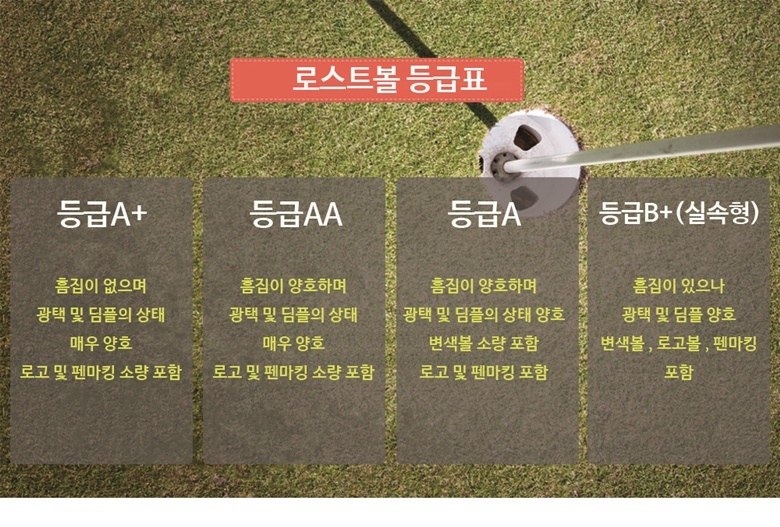 타이틀리스트 PRO V1 V1X 혼합 로스트볼