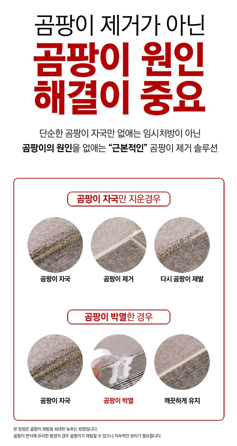 살림백서 뿌리는 곰팡이제거제