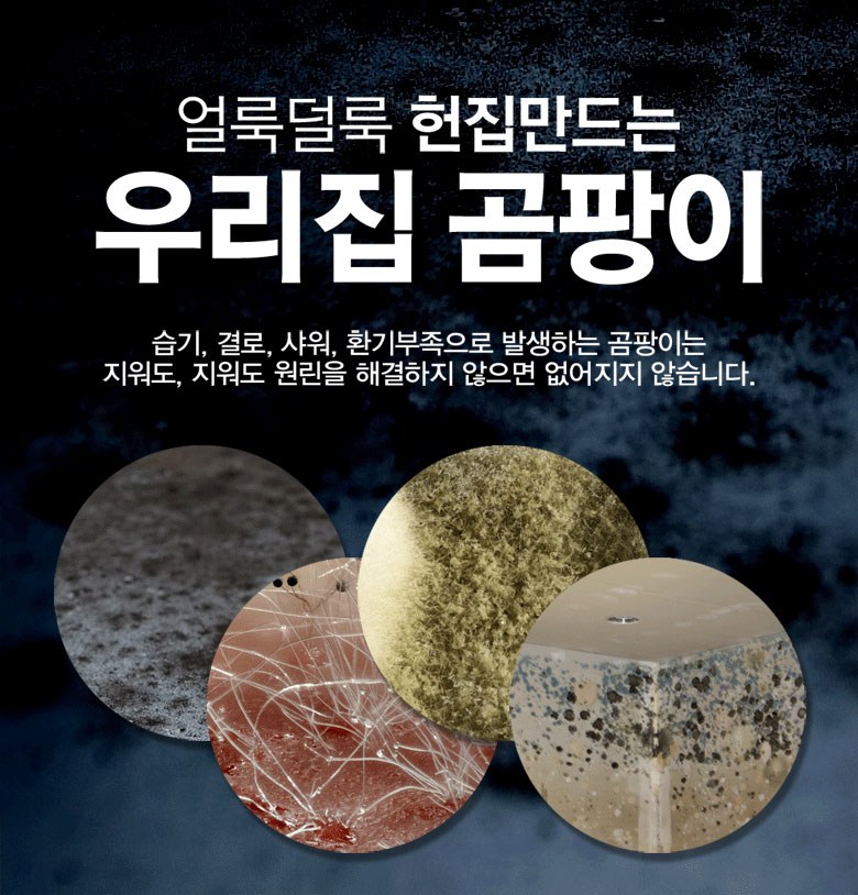 살림백서 뿌리는 곰팡이제거제