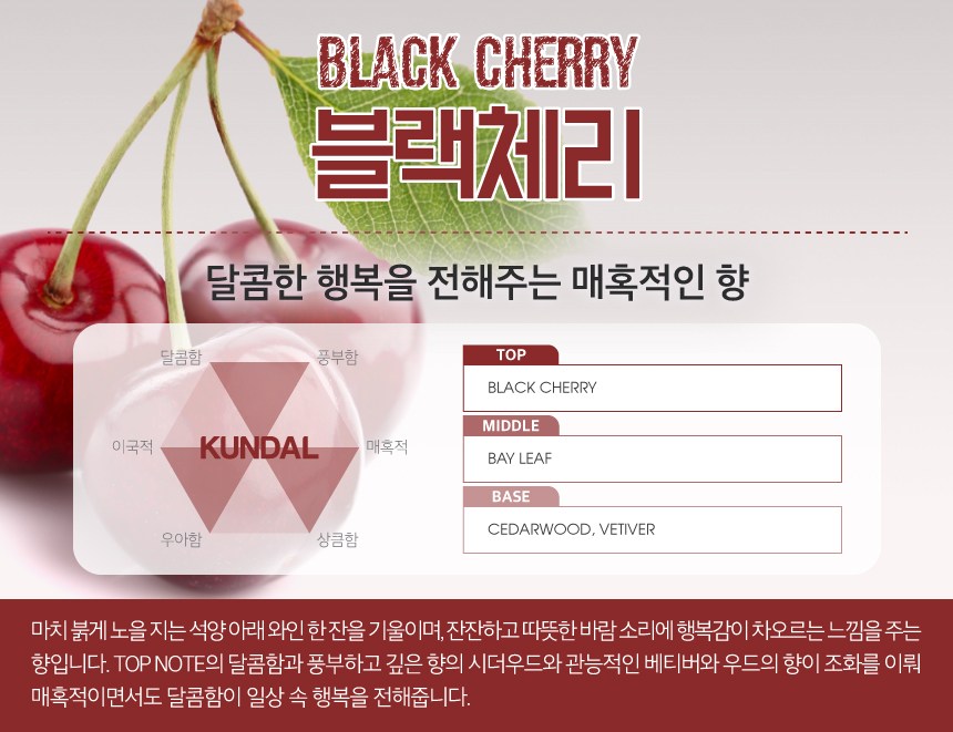 쿤달 퍼퓸 디퓨저 200ml 3개 + 섬유스틱 15개 세트